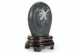 Polished Chrysanthemum Stone in Wood Base - China #352111-1